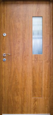 aranytolgy-acel-bejarati-ajto-m39-g1