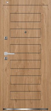 vilagos-tolgy-acel-bejarati-ajto-m32-p